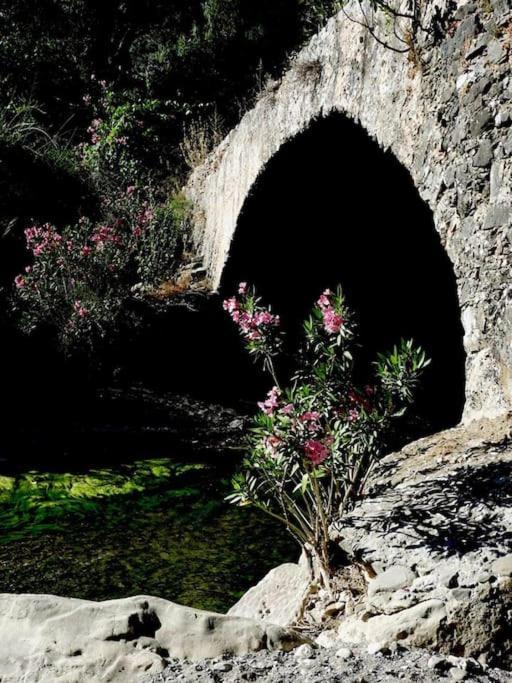 Orne Magical Retreat Villa Luaran gambar