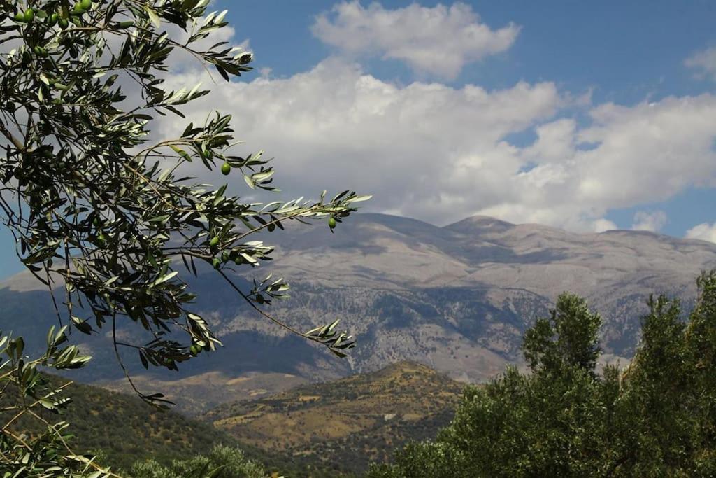 Orne Magical Retreat Villa Luaran gambar